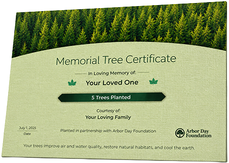 Plant Trees in Memory of Anthony Brown